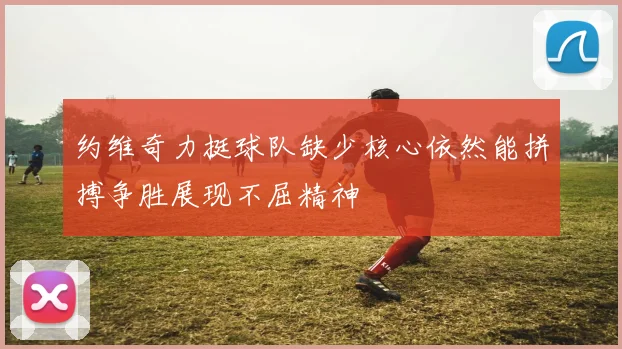 约维奇力挺球队缺少核心依然能拼搏争胜展现不屈精神